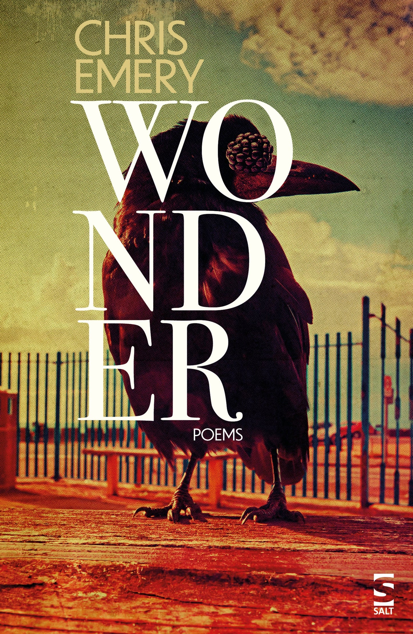 Wonder by Chris Emery