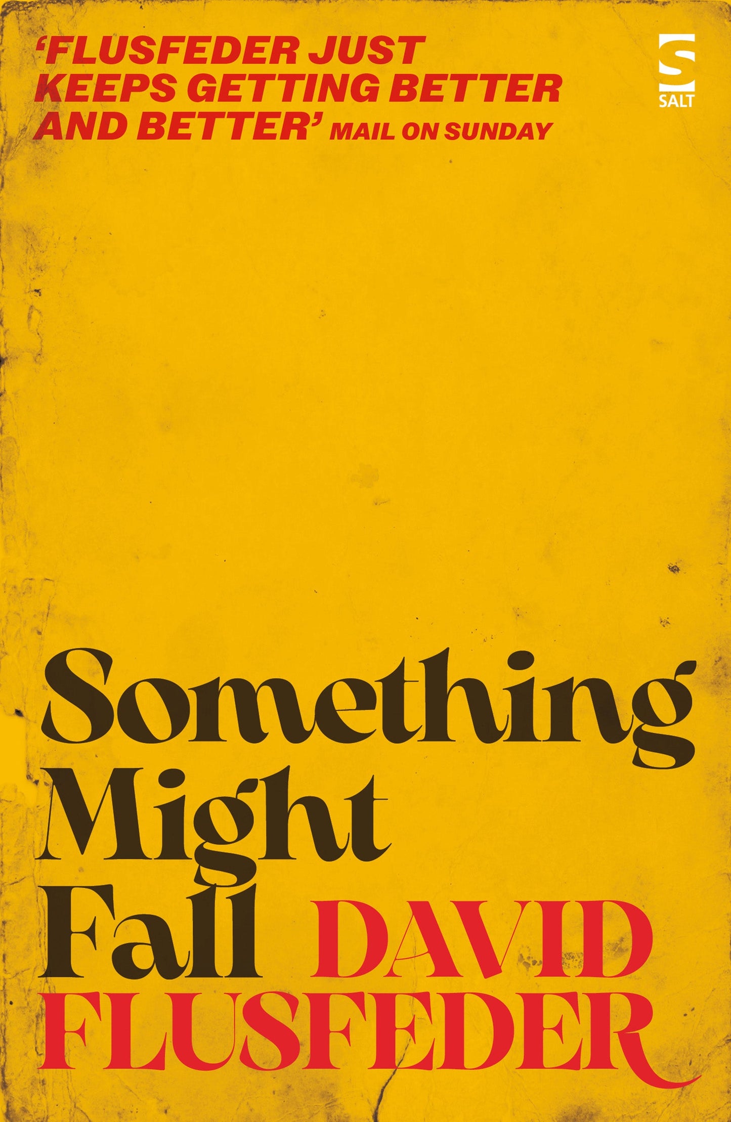 Something Might Fall by David Flusfeder