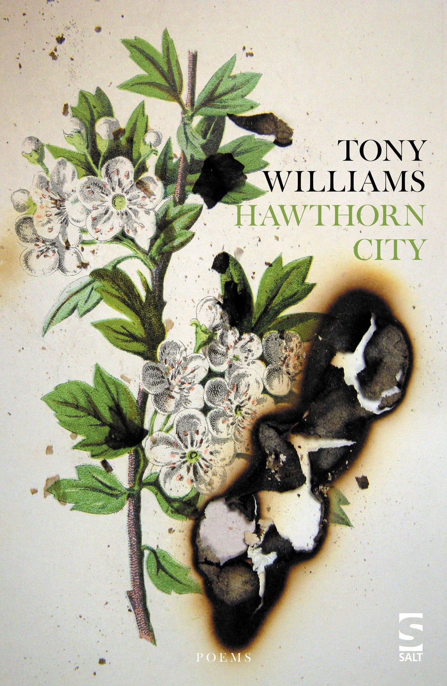 Hawthorn City - Salt