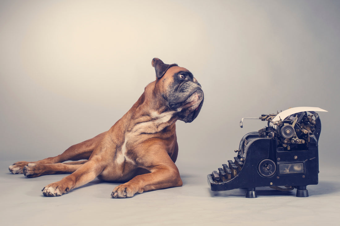 An Author’s Guide to Making Poetry Submissions