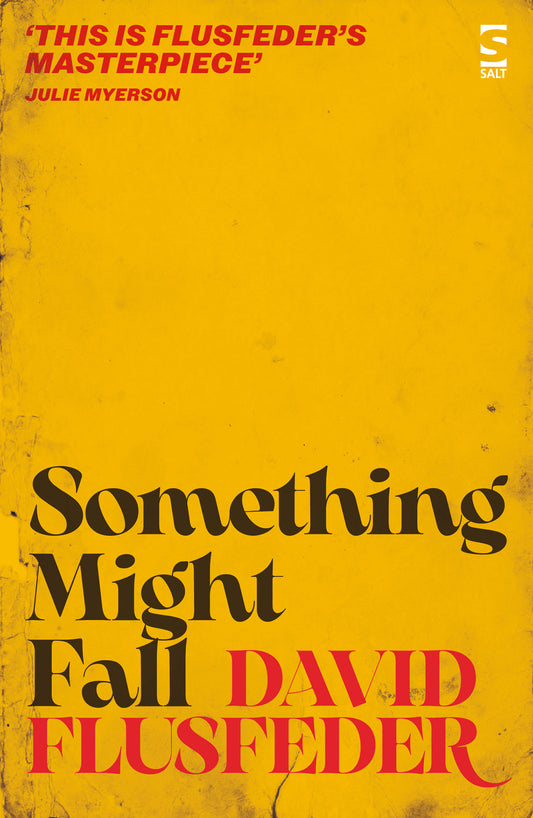 Something Might Fall by David Flusfeder