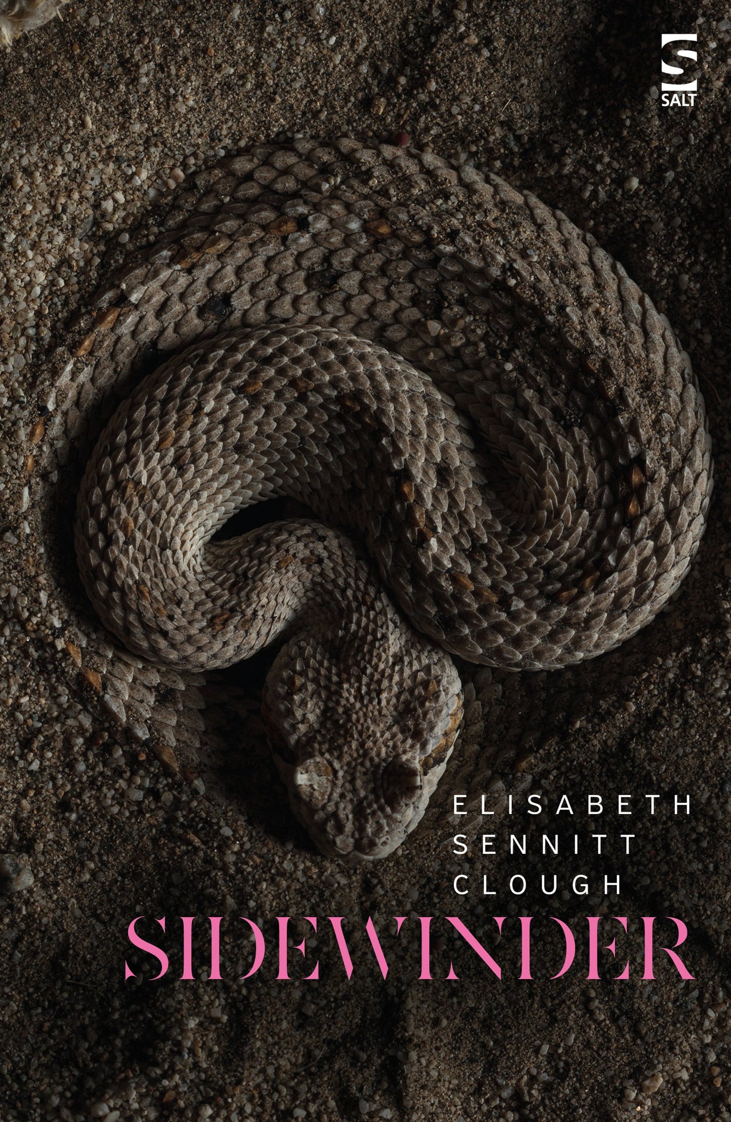 Sidewinder by Elisabeth Sennitt Clough
