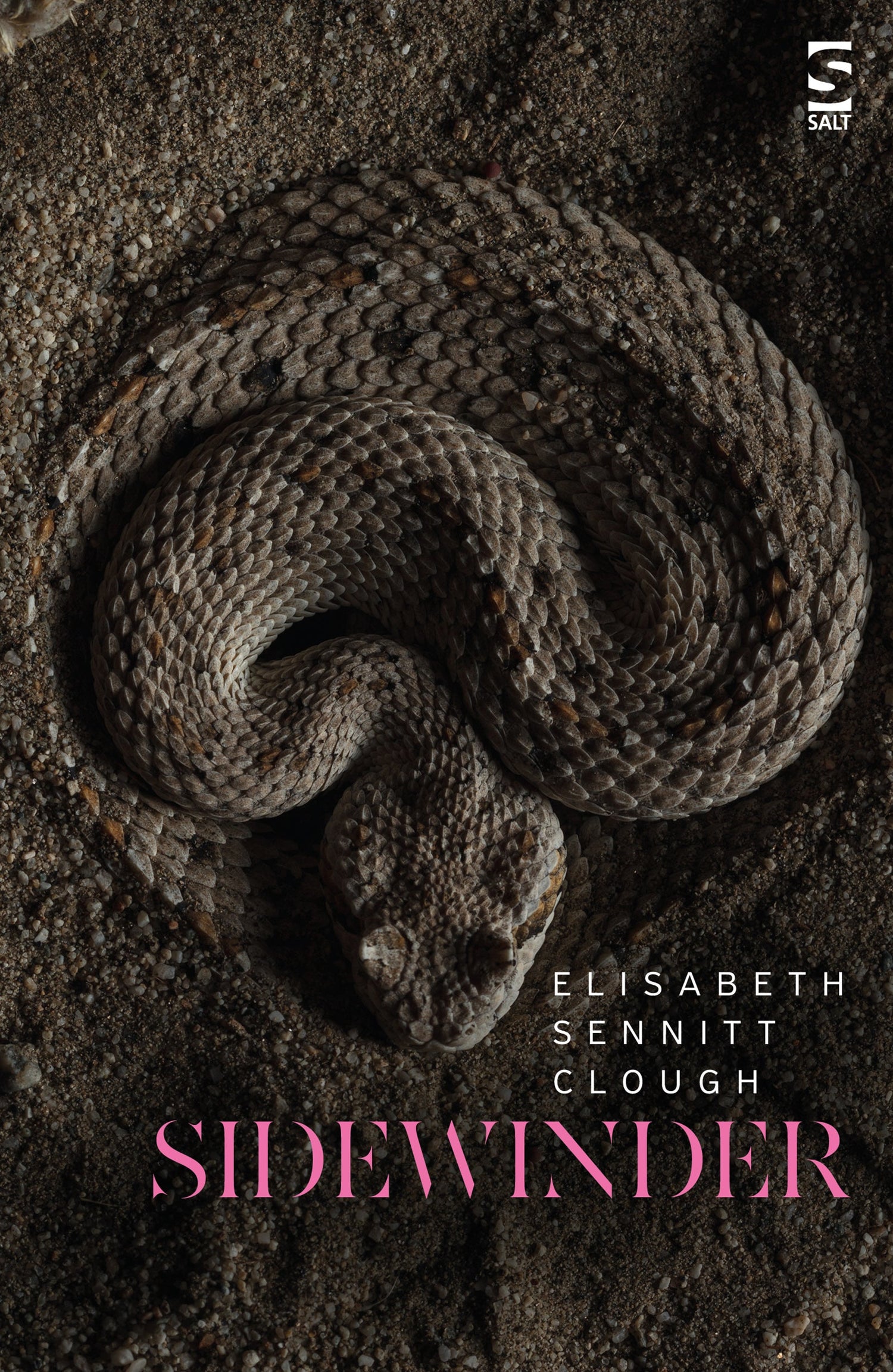 Sidewinder by Elisabeth Sennitt Clough