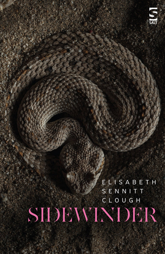 Sidewinder by Elisabeth Sennitt Clough