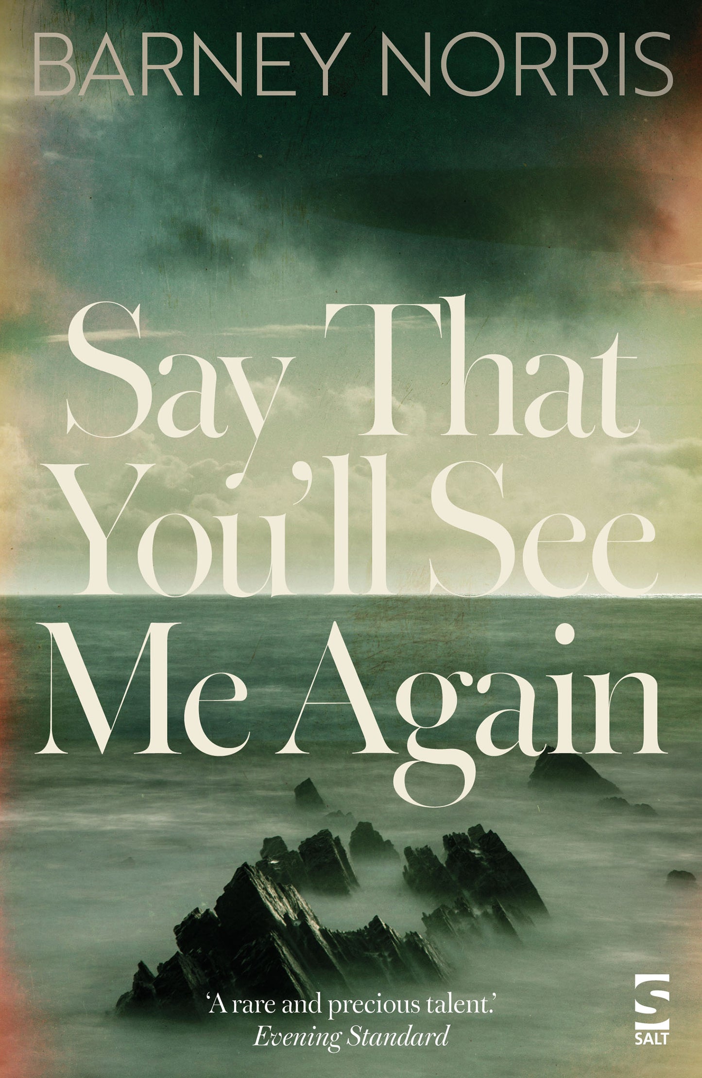 Say That You’ll See Me Again by Barney Norris