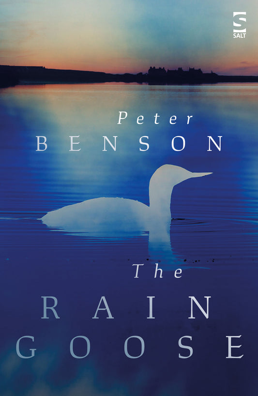 The Rain Goose by Peter Benson
