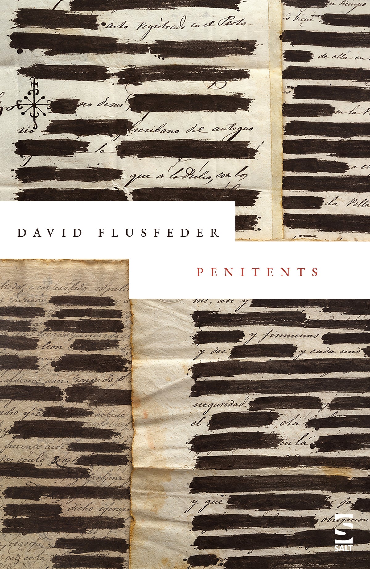 Penitents by David Flusfeder