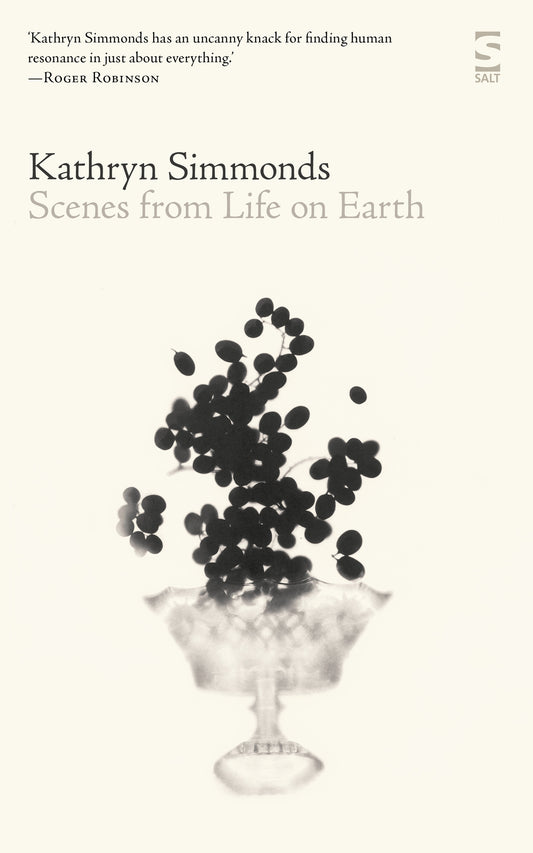 Kathryn Simmonds Scenes from Life on Earth