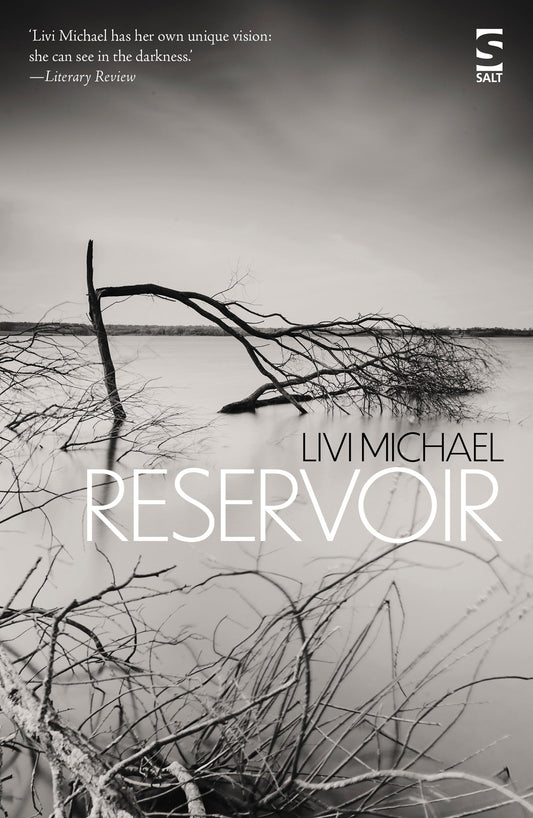 Reservoir by Livi Michael