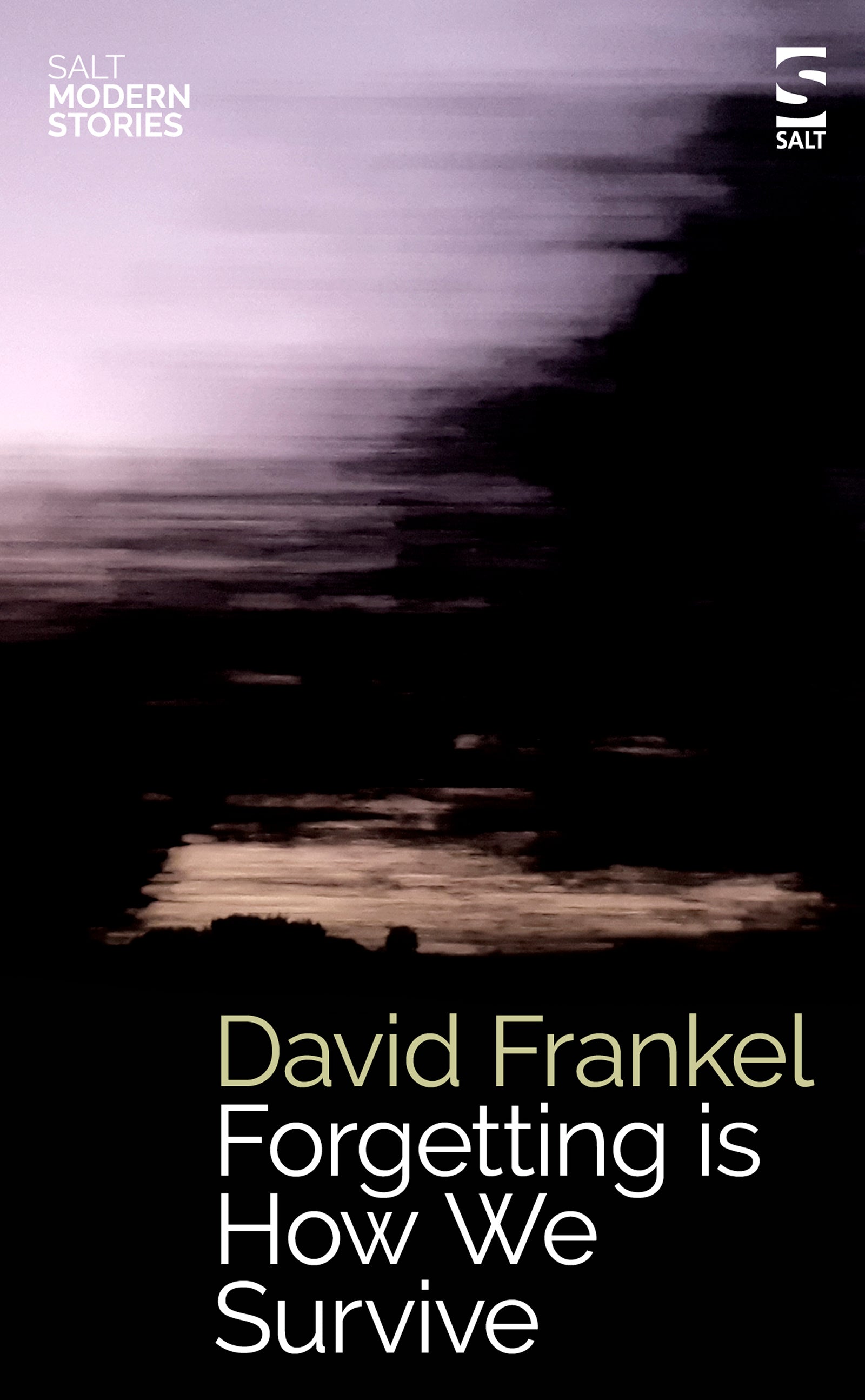 Forgetting is How We Survive by David Frankel