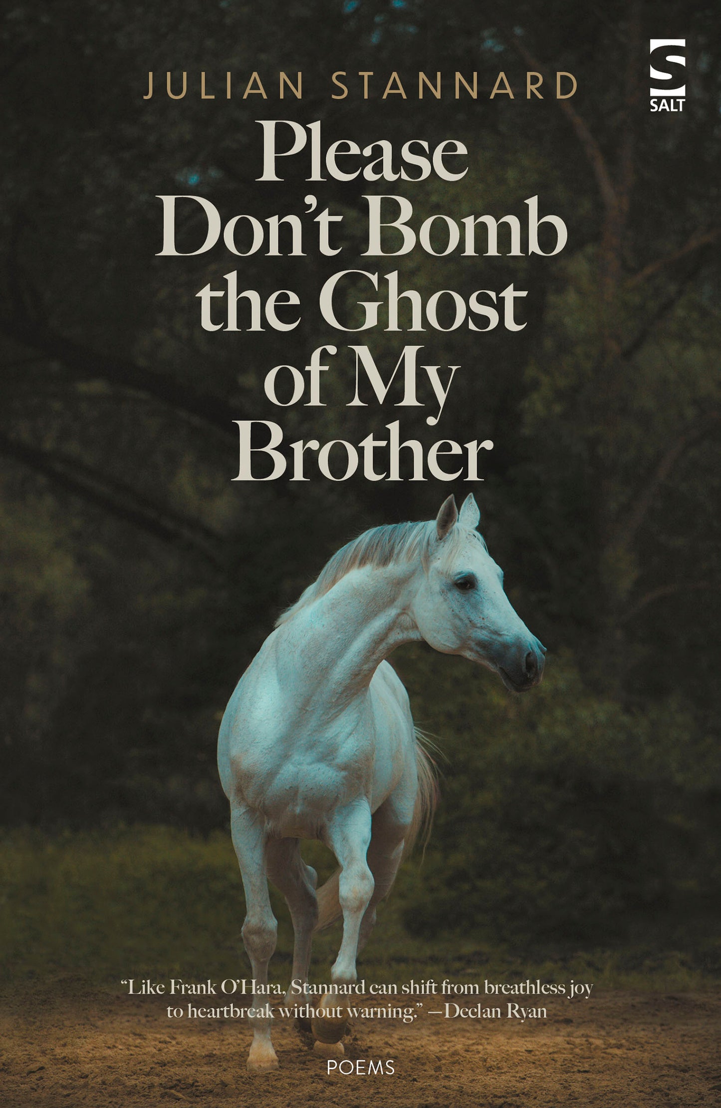 Please Don’t Bomb the Ghost of My Brother