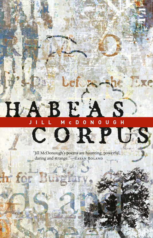 Habeas Corpus - Salt