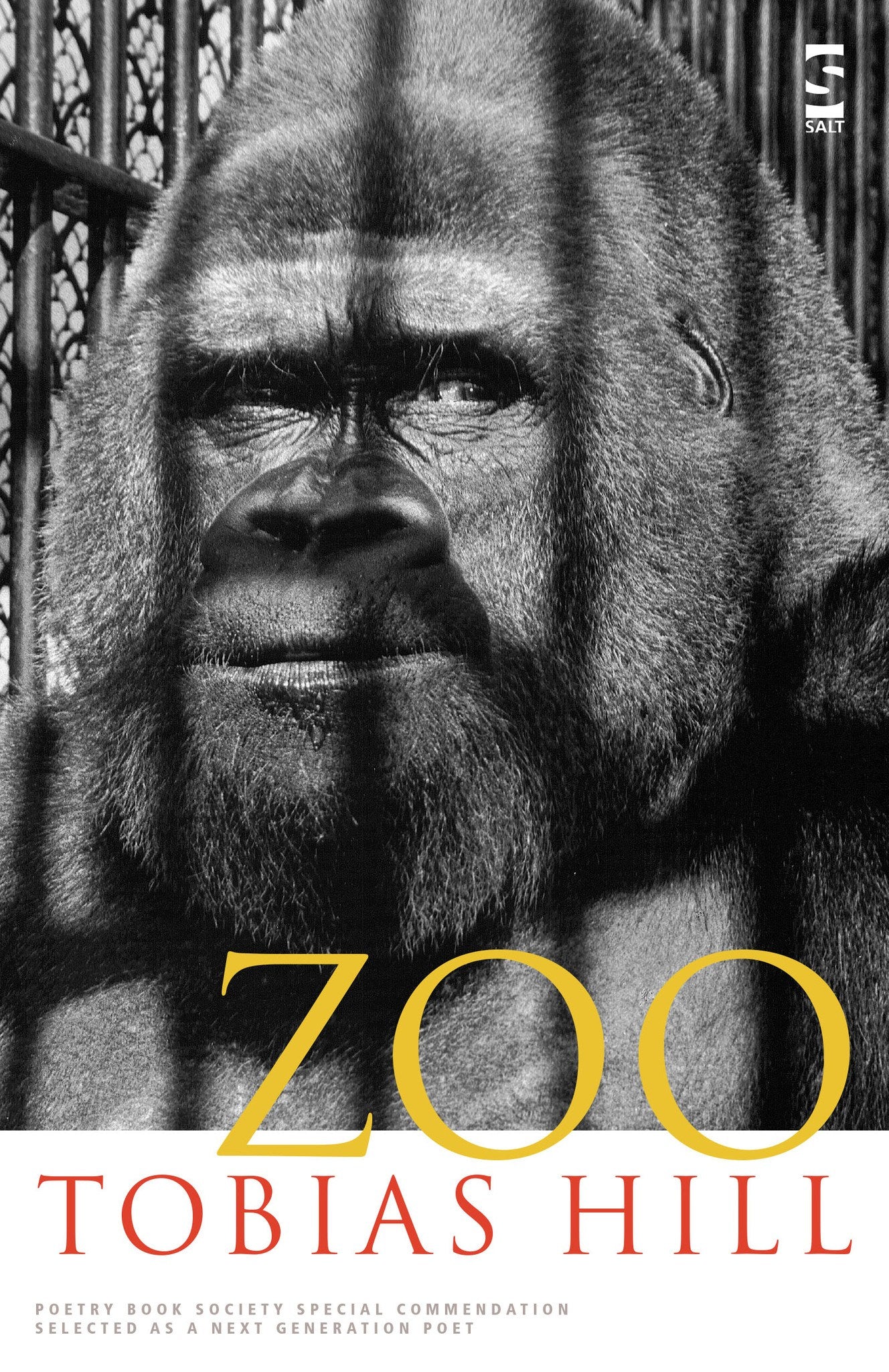 Zoo - Salt
