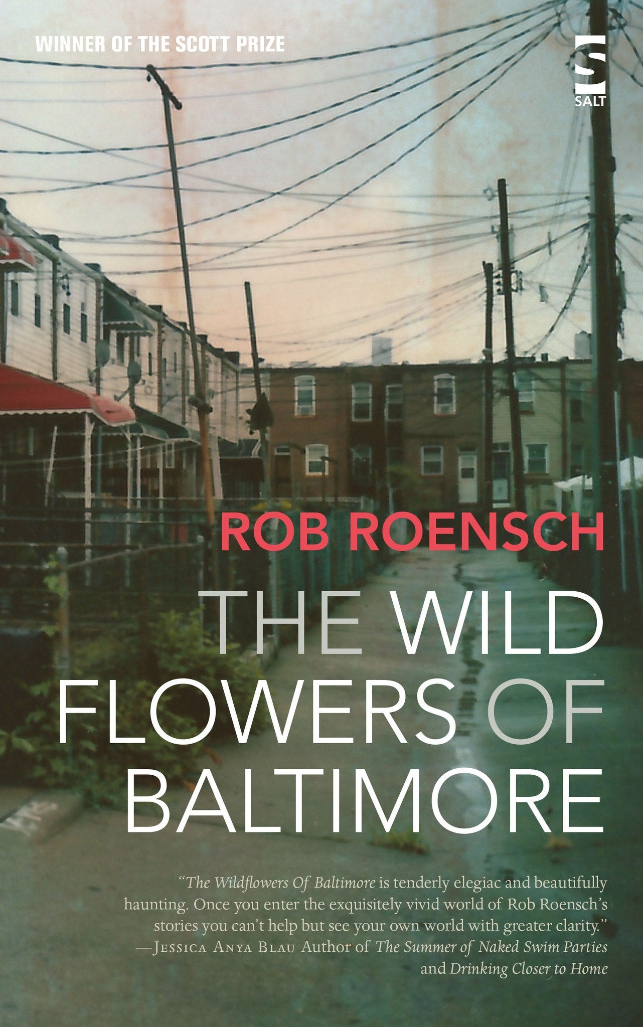 The Wildflowers of Baltimore - Salt