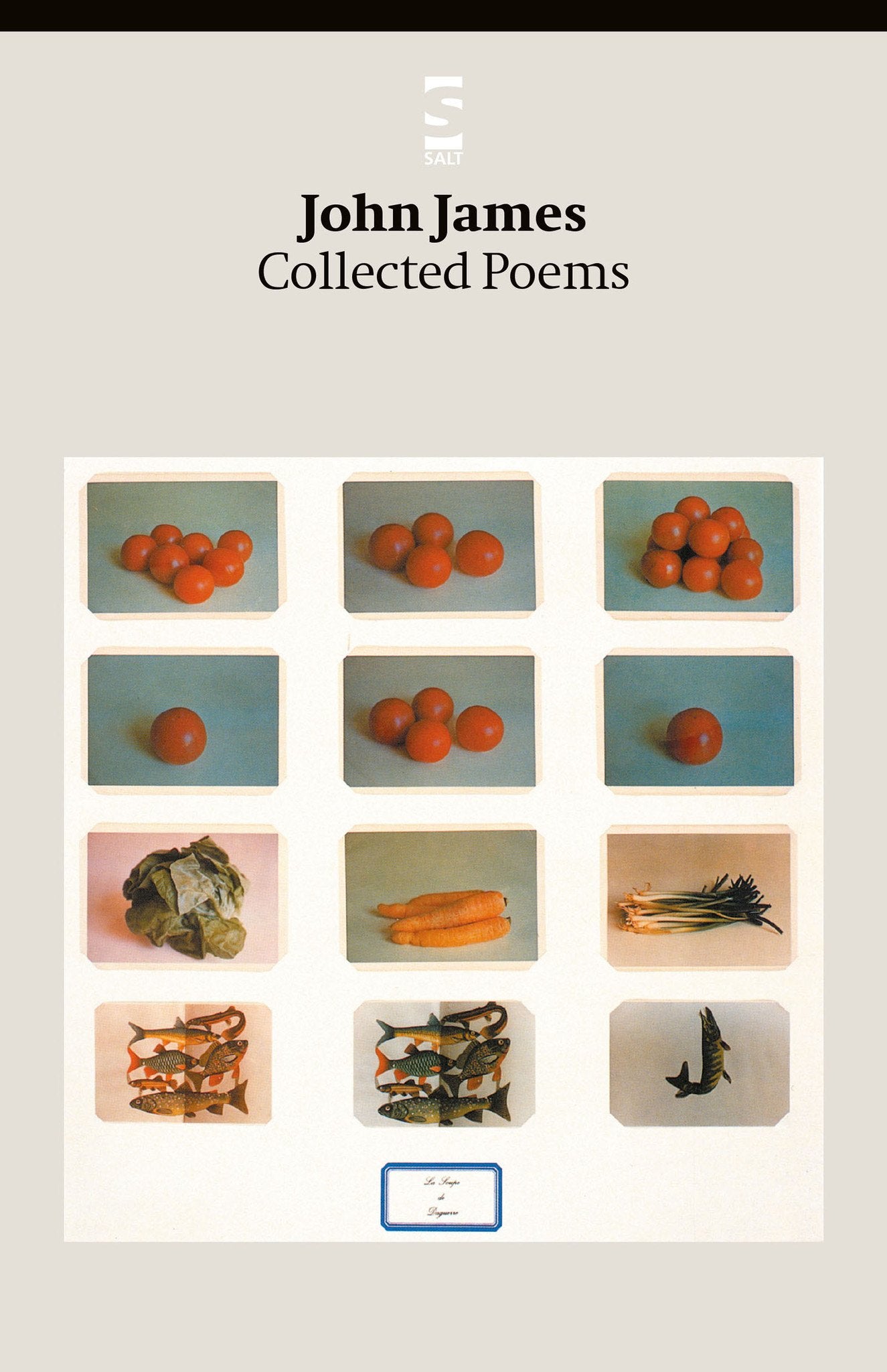 Collected Poems - Salt