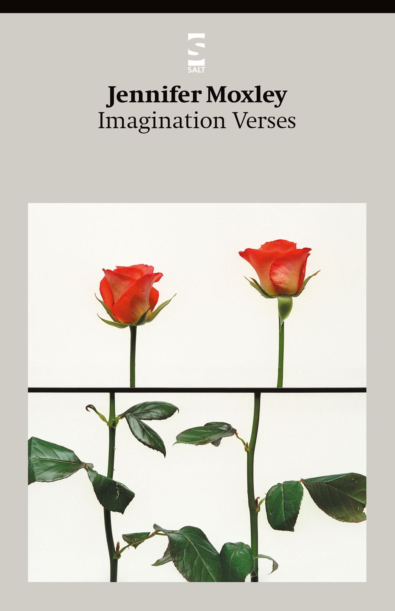 Imagination Verses - Salt