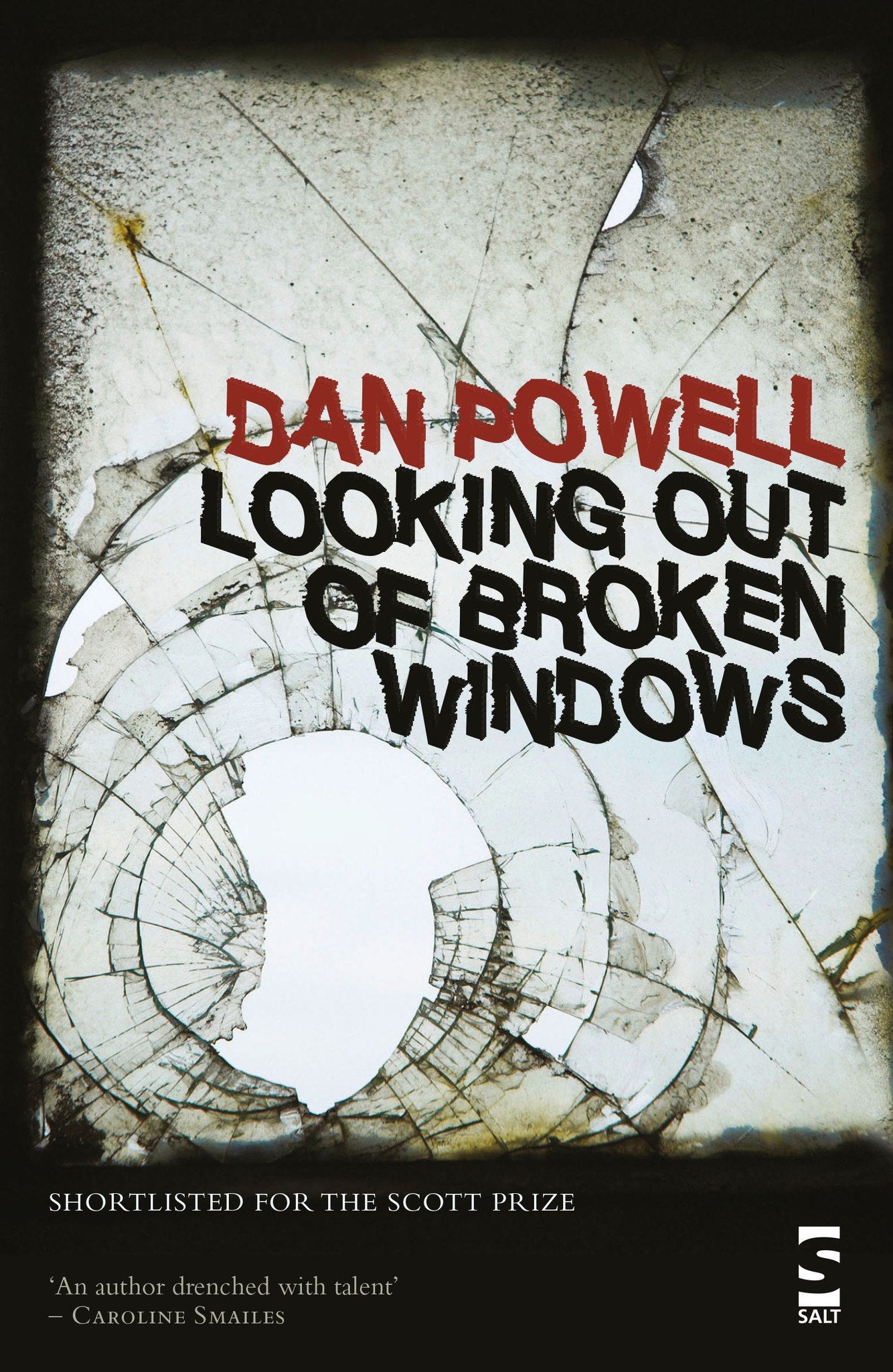 Looking Out Of Broken Windows - Salt